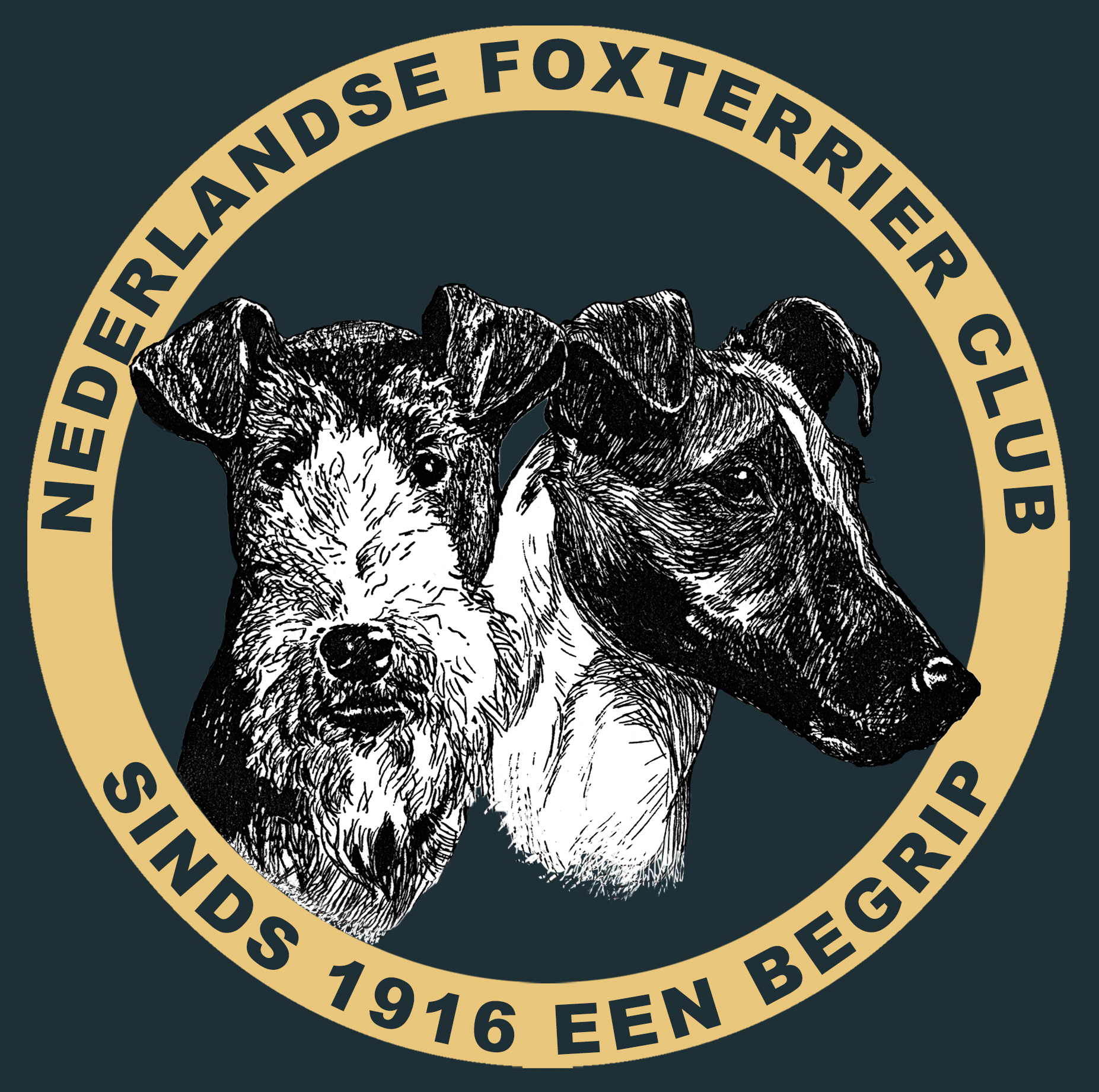 NIEUWE LOGO NFC VERSIE 2